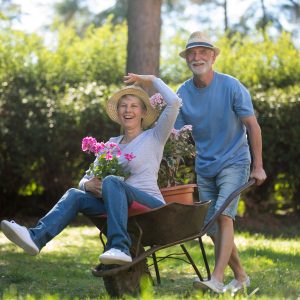 Gartengestaltung Wedemark